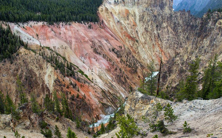 Overlook Of The Yellowstone Grand Canyon Photograph