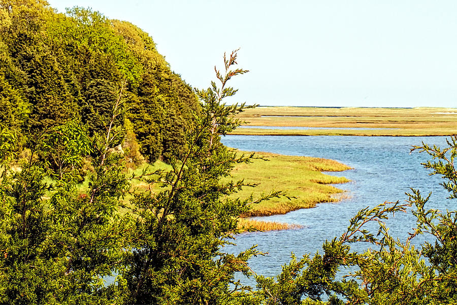 Overlooking Nauset Marsh Photograph by Constantine Gregory