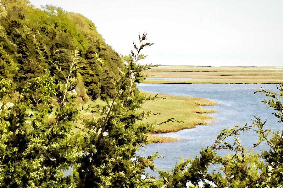 Overlooking Nauset Marsh Photo Art Photograph by Constantine Gregory