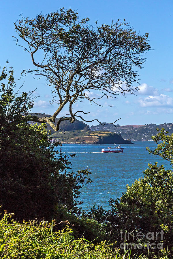 San Francisco Photograph - Overlooking the Bay by Kate Brown