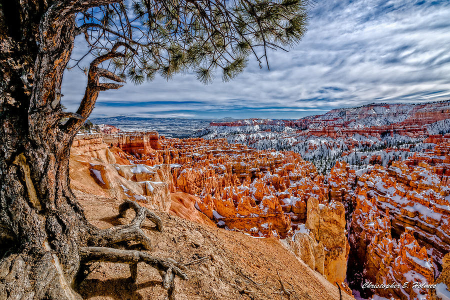 Nature Photograph - Overlooking the HooDoos by Christopher Holmes