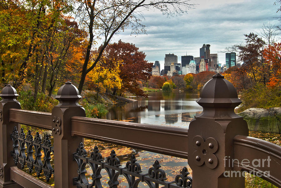 New York City Photograph - Overlooking The Lake Central Park New York City by Sabine Jacobs
