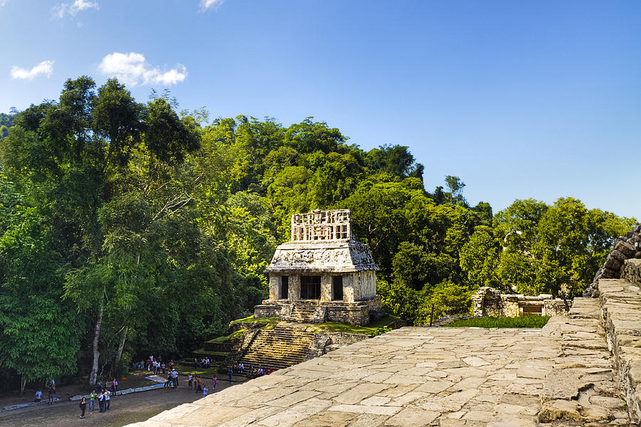 Overlooking The Temple Of The Sun At Palenque Photograph by Mark Tisdale