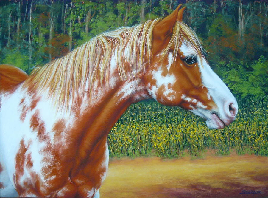 Overo Paint Horse-Colorful Warrior Mixed Media by Margaret Stockdale