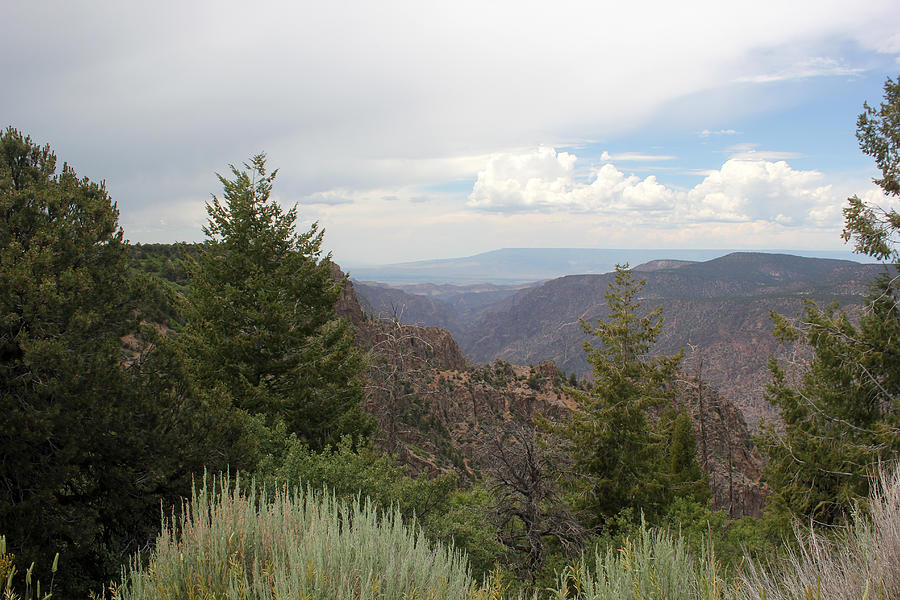 Overview Black Canyon Photograph by Mary Bedy