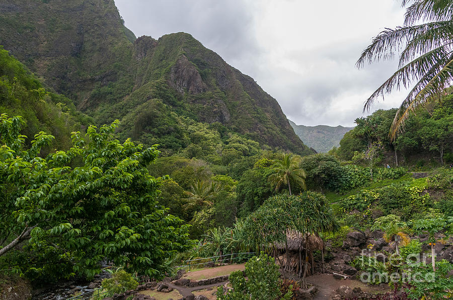 Overview of the Iao Needle State Park Maui Photograph by Don Landwehrle