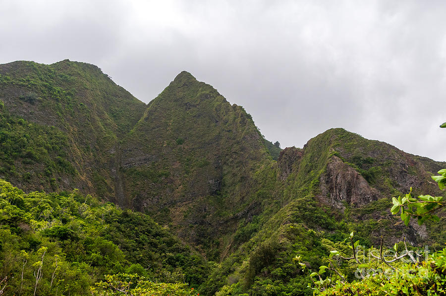Overview of the Iao Needle State Park Maui Hawaii USA Photograph by Don Landwehrle
