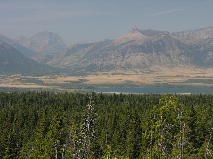 Overview Of Waterton Lakes National Park Photograph by Robert Lozen