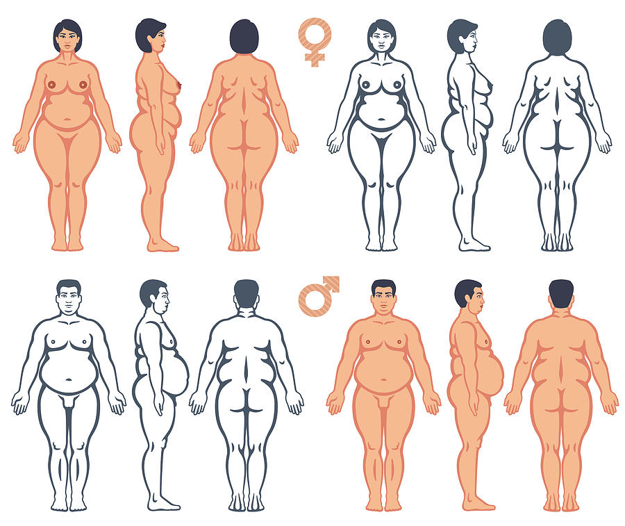 Overweight man and woman vector silhouettes Drawing by AlonzoDesign