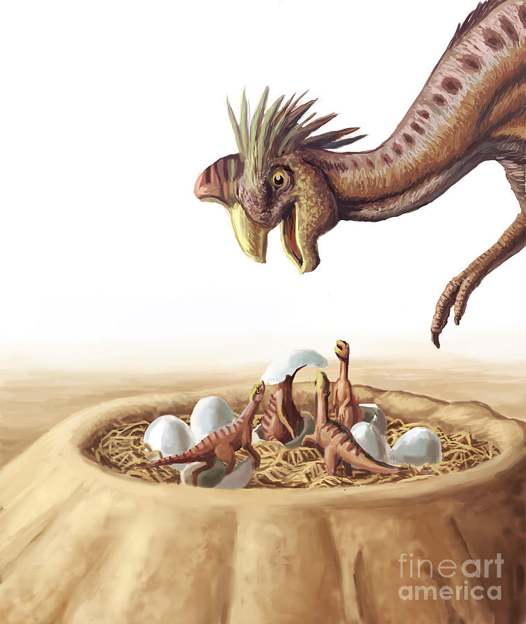 Oviraptor And Nest Photograph by Spencer Sutton