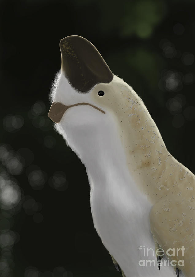 Oviraptor Mongoliensis Portrait Digital Art by Michele Dessi