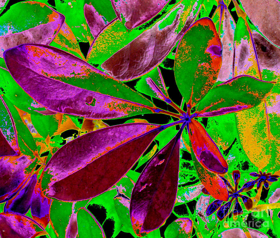 Energy of Colors. Abstract Art. Magenta and Green Leaves  Photograph by Oksana Semenchenko