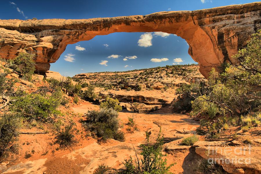 Us National Parks Photograph - Owachomo At Natural Bridges by Adam Jewell
