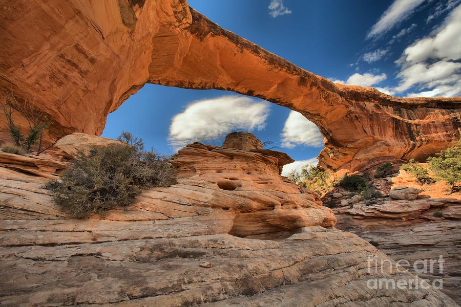 Us National Parks Photograph - Owachomo Under Blue Skies by Adam Jewell