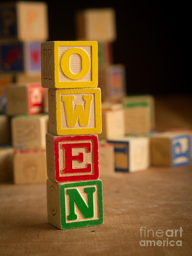 OWEN - Alphabet Blocks Photograph by Edward Fielding