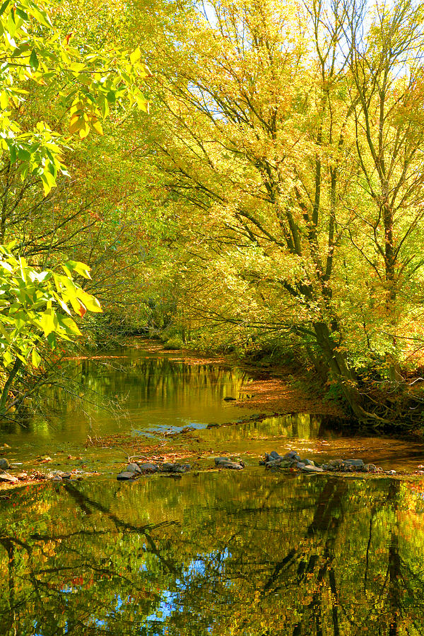 Fall Photograph - Owens Creek III by Steven Ainsworth