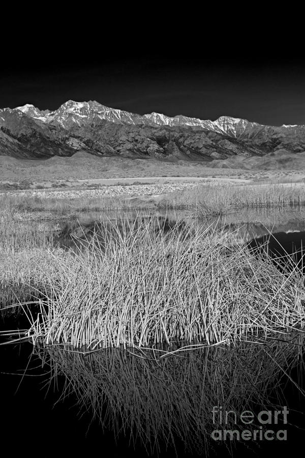 Owens Lake and the High Sierra Photograph by Jim West