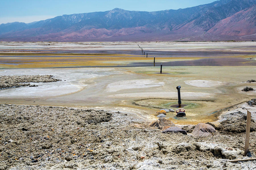 Owens Lake Rejuvenation Photograph by Jim West/science Photo Library