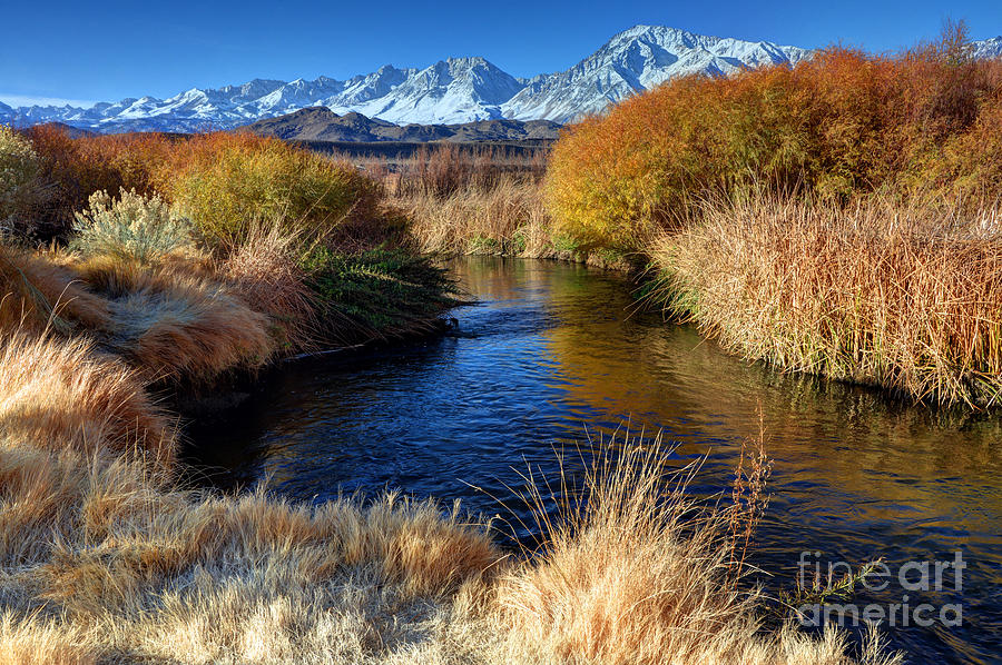 Owens River and Eastern Sierra Nevada Mountains Photograph by Gary Whitton