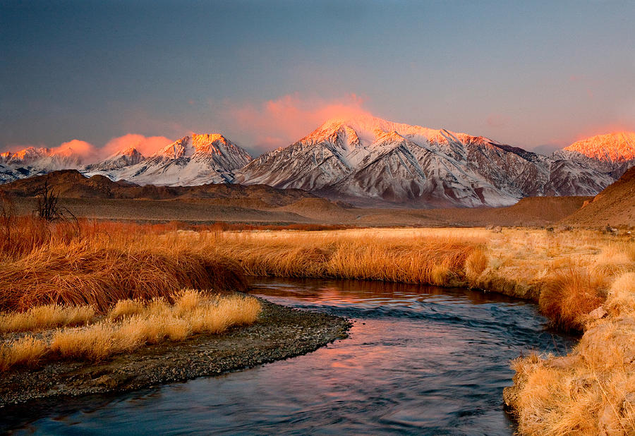 Owens River Dawn Photograph by David Forster - Pixels