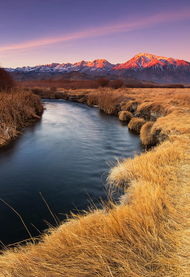 Owens River Photograph by Tassanee Angiolillo