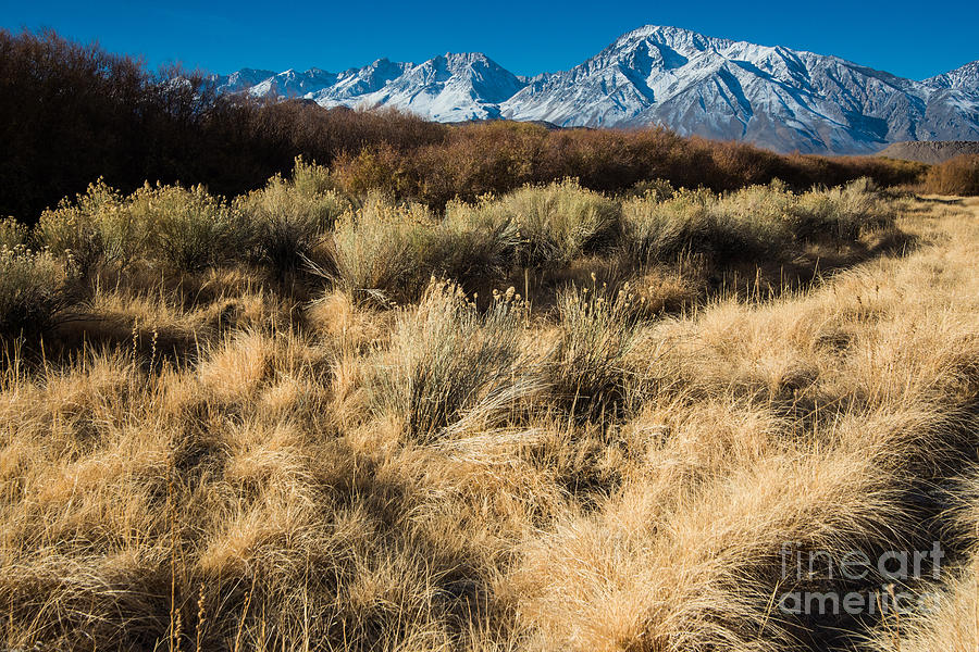 Owens River Valley and Sierra Nevada Range Photograph by Gary Whitton