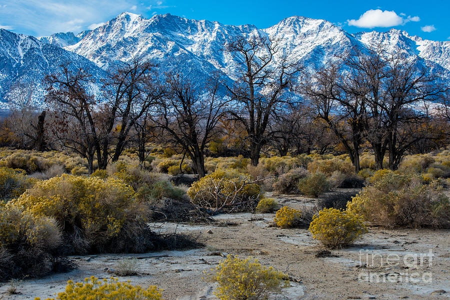 Owens Valley and Sierra Nevada Range Photograph by Gary Whitton