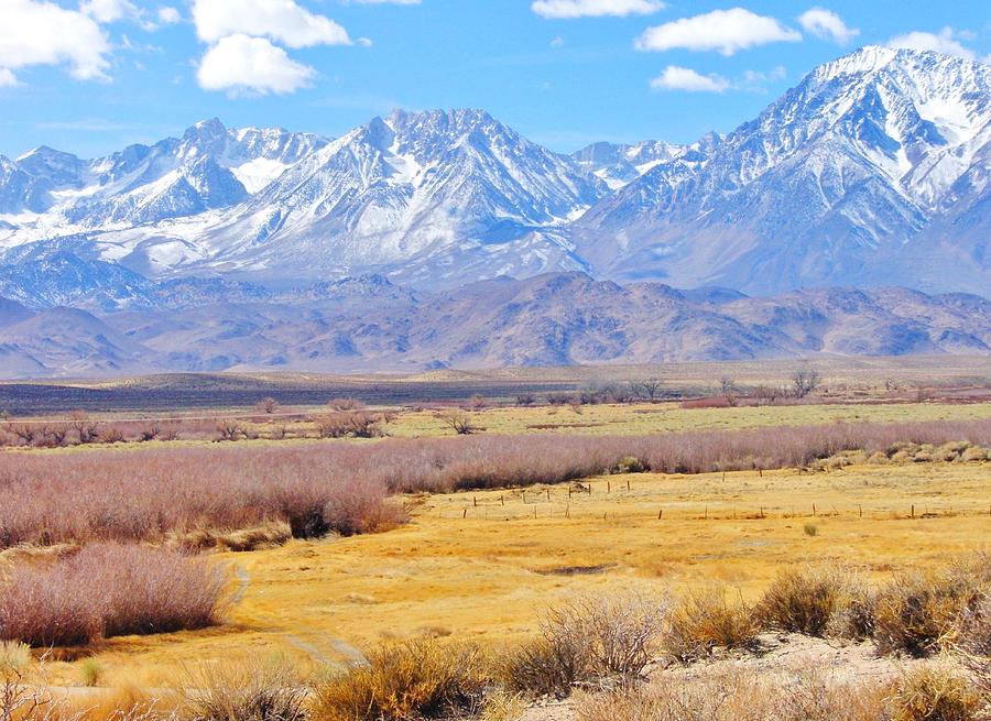 Owens Valley In Winter Photograph by Marilyn Diaz