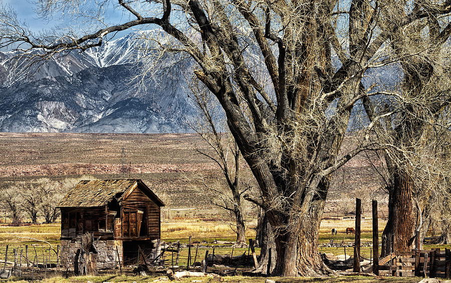 Owens Valley Photograph by Kathleen Bishop