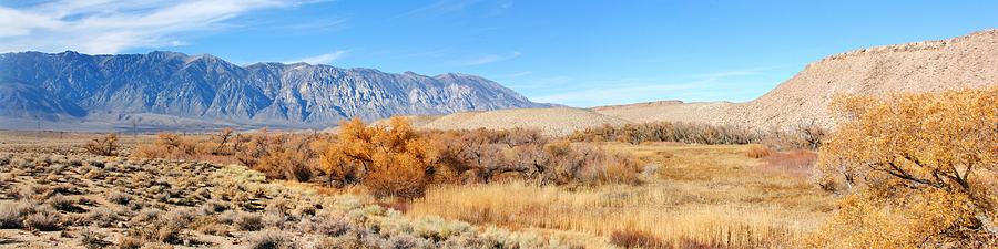 Owens Valley Pano Photograph by Marilyn Diaz