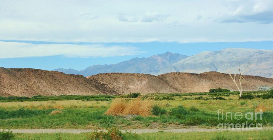 Owens Valley Viewing Photograph by Marilyn Diaz