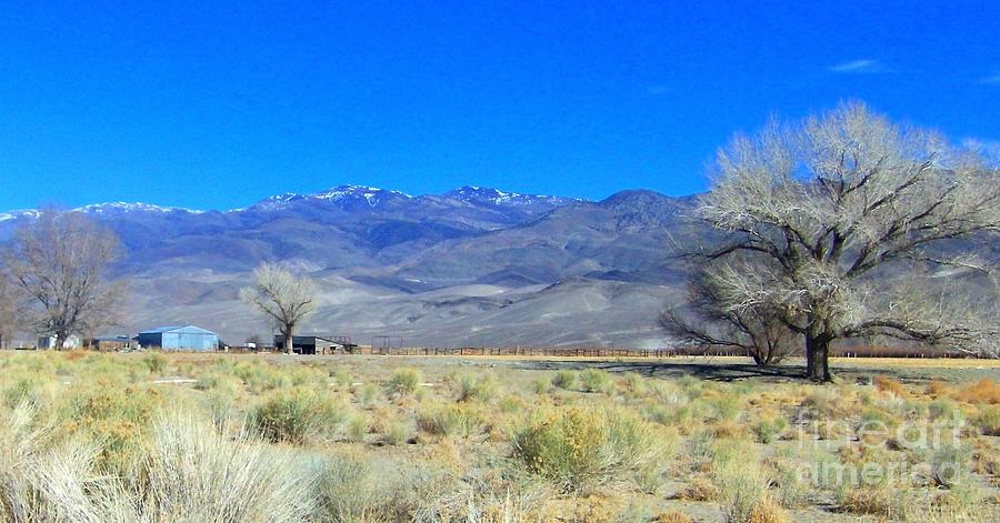 Owens Valley Winter Photograph by Marilyn Diaz