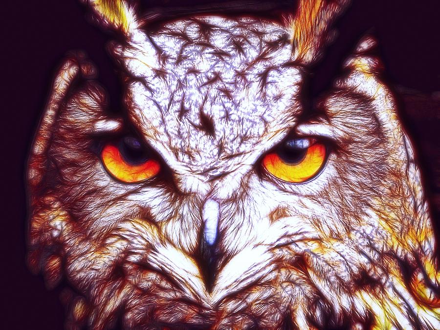 Owl - Fractal Digital Art by Lilia S