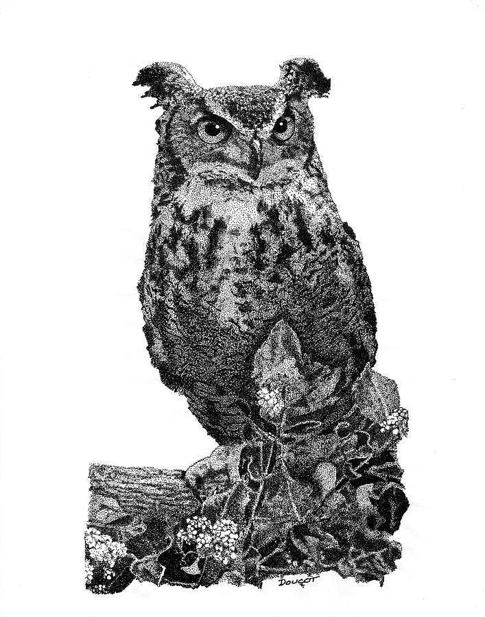 Owl 1 Drawing by David Doucot