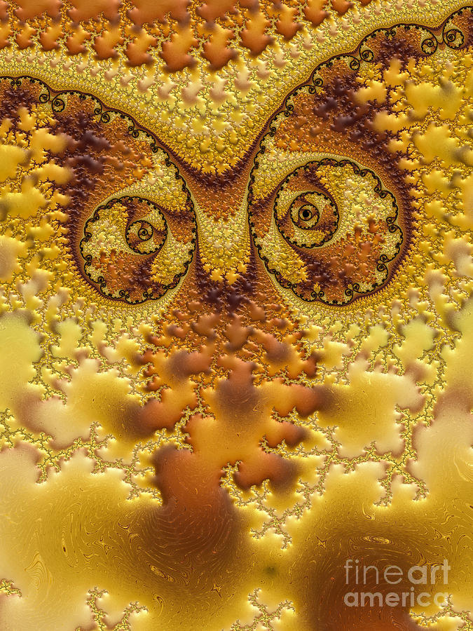 Owl Abstract  Digital Art by Heidi Smith