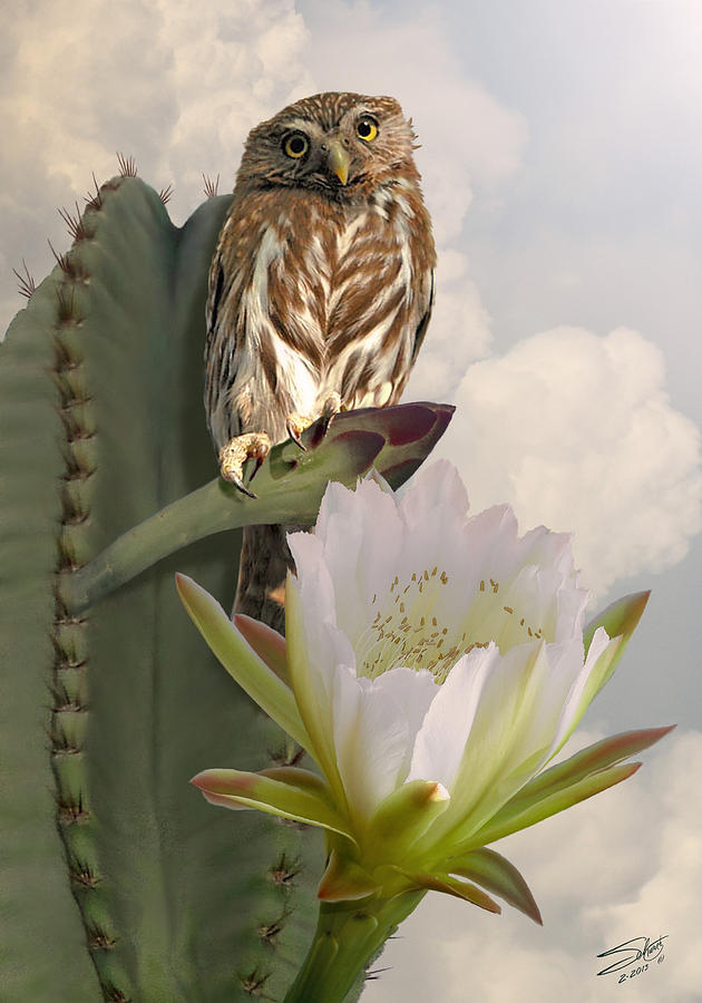 Owl and Peruvian Apple Cactus Digital Art by M Spadecaller