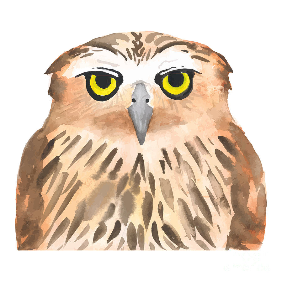 Download Owl Bird. Watercolor, Vector Digital Art by Evgeniy Agarkov