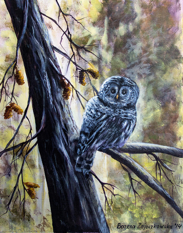 Owl Painting by Bozena Zajaczkowska