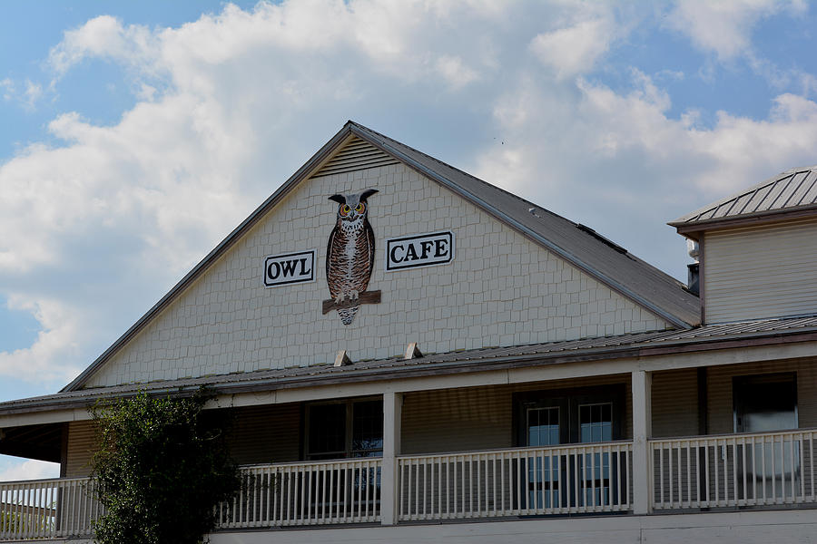 Owl Cafe Photograph by Judy Wanamaker