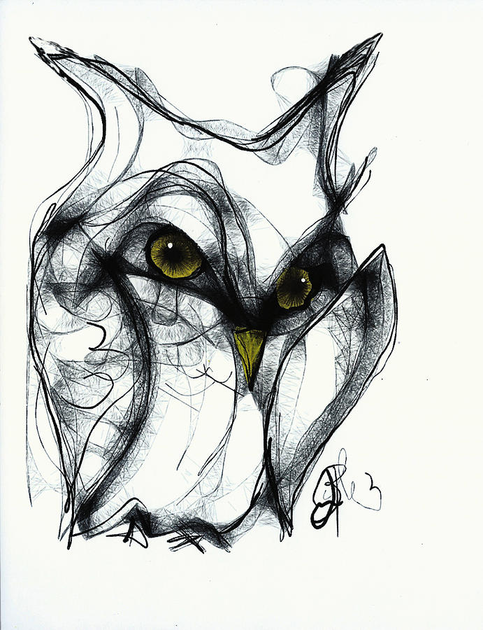 Owl Eyes Drawing by Jon Baldwin Art Fine Art America