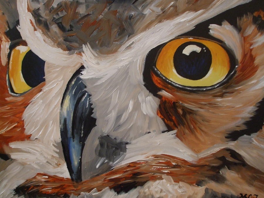 Owl Photograph - Owl face by Meagan Johnson