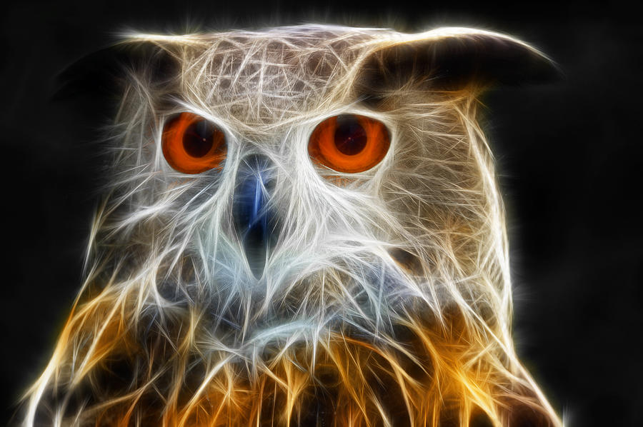 Owl Digital Art - Owl fractal art by Matthias Hauser