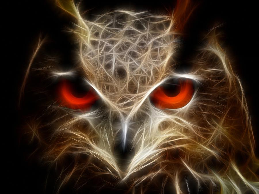 Owl - fractal artwork Digital Art by Lilia D