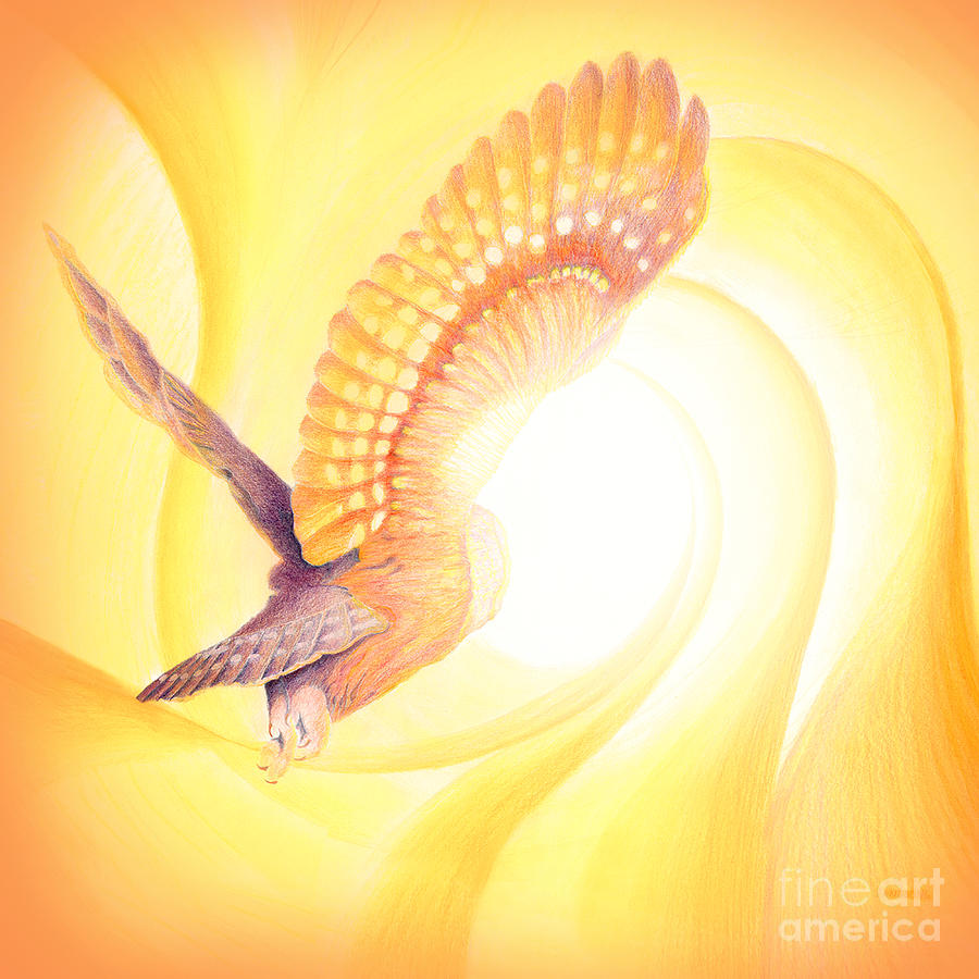 Owl Going Into the Light Drawing by Robin Aisha Landsong