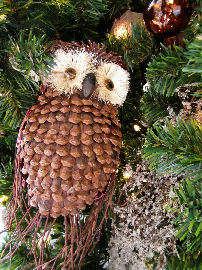 Owl in a Christmas Tree Photograph by Cynthia  Clark