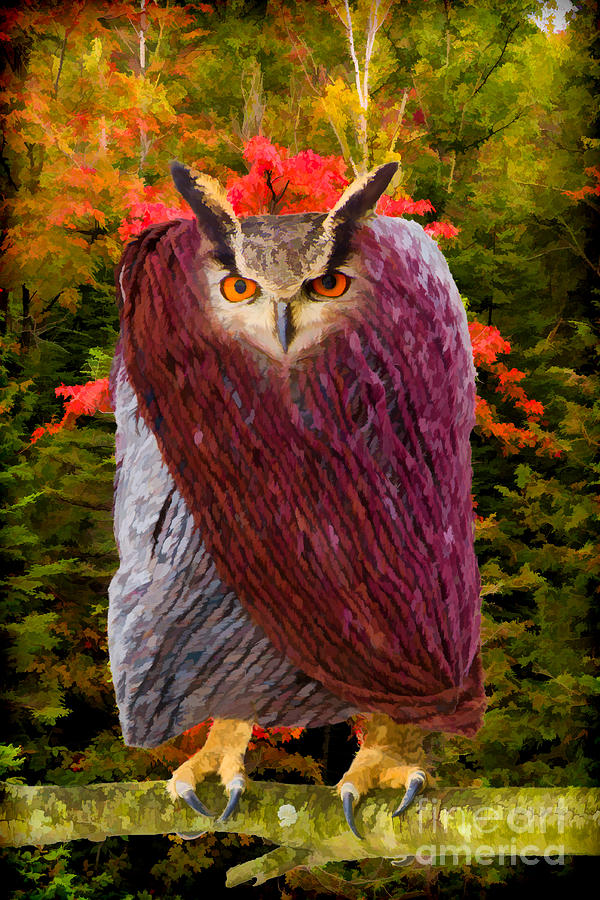 Owl in heavy winter coat - painterly Photograph by Les Palenik