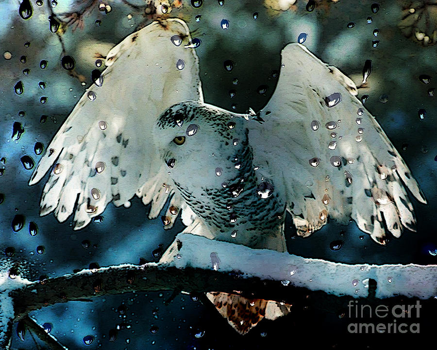Owl Mixed Media - Owl In Snow by Marvin Blaine