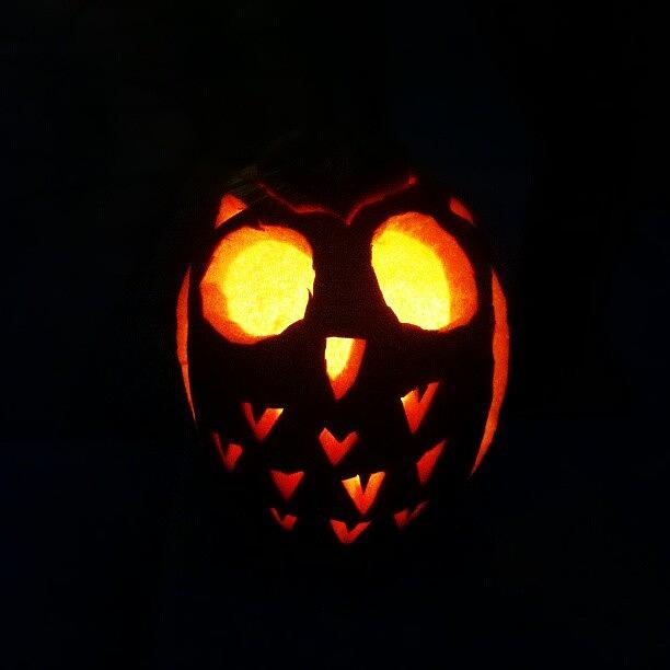 Halloween Photograph - Owl In The Night by Amber Abreu