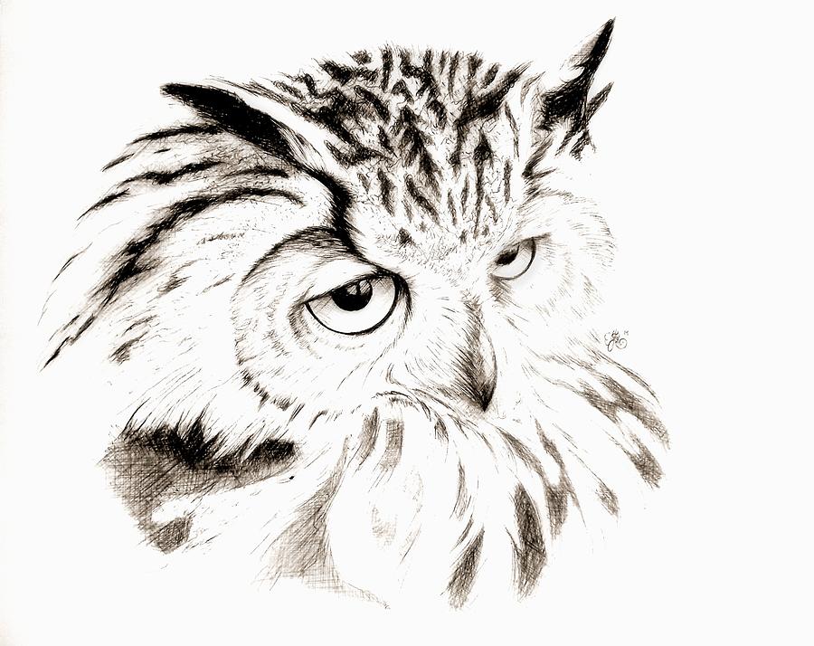 Owl in Thought Drawing by Scarlett Royale