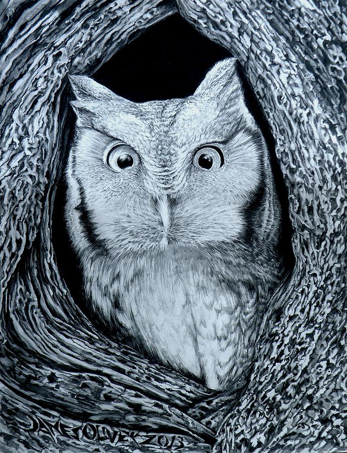 Owl Drawing by James Oliver